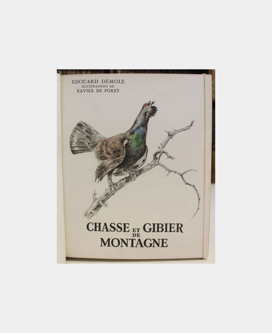 Chasse Et Gibier De Montagne