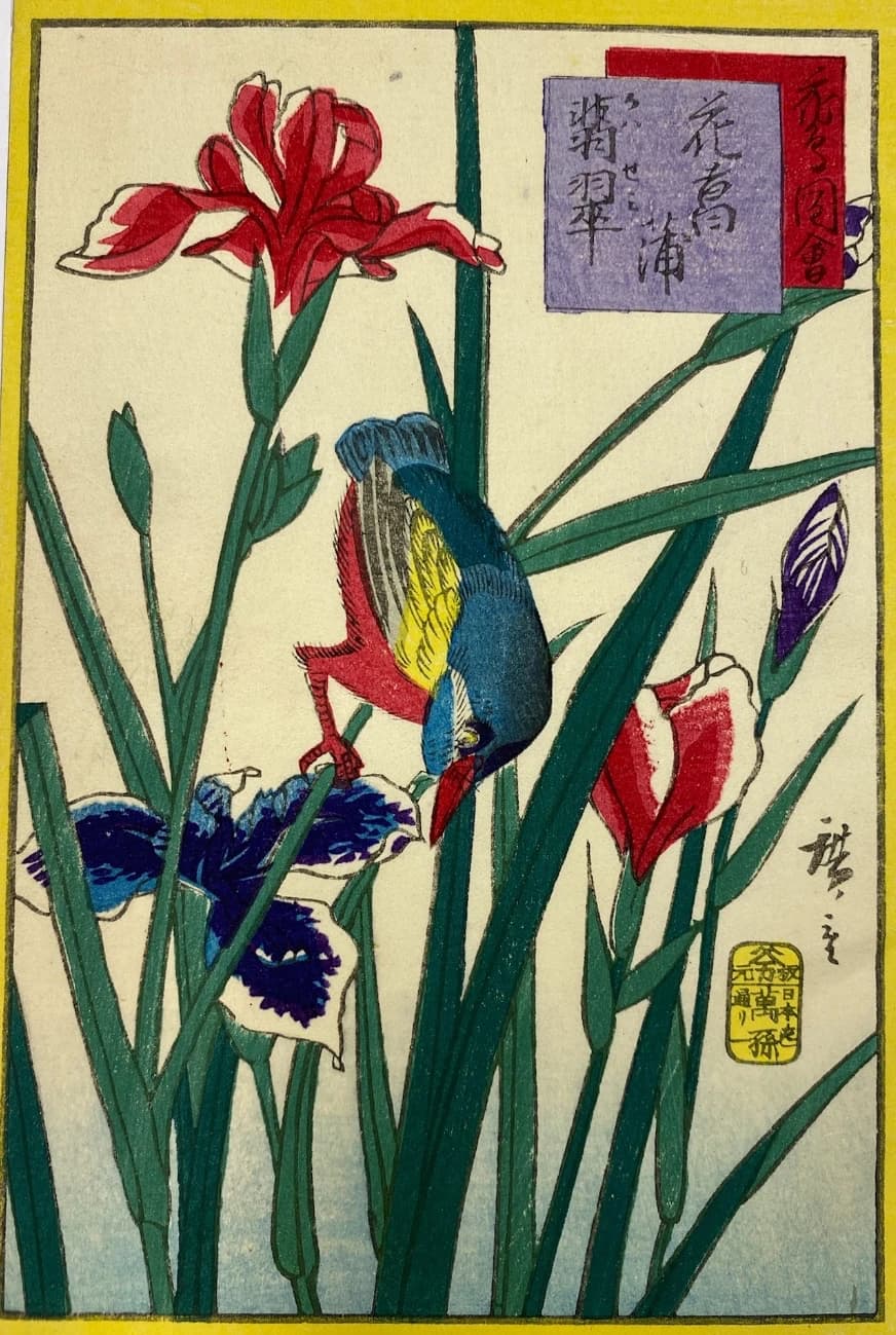 Iris et Oiseau