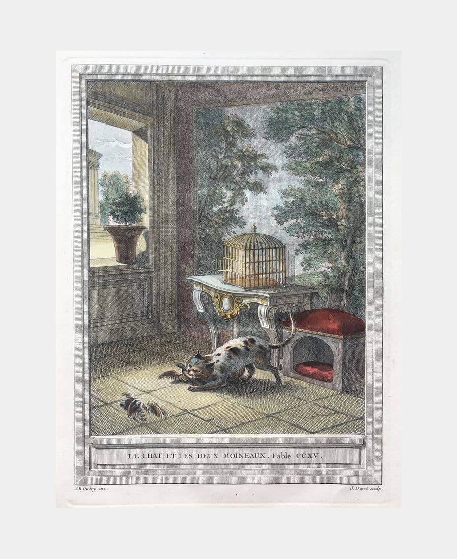 Le Chat et les deux moineaux.