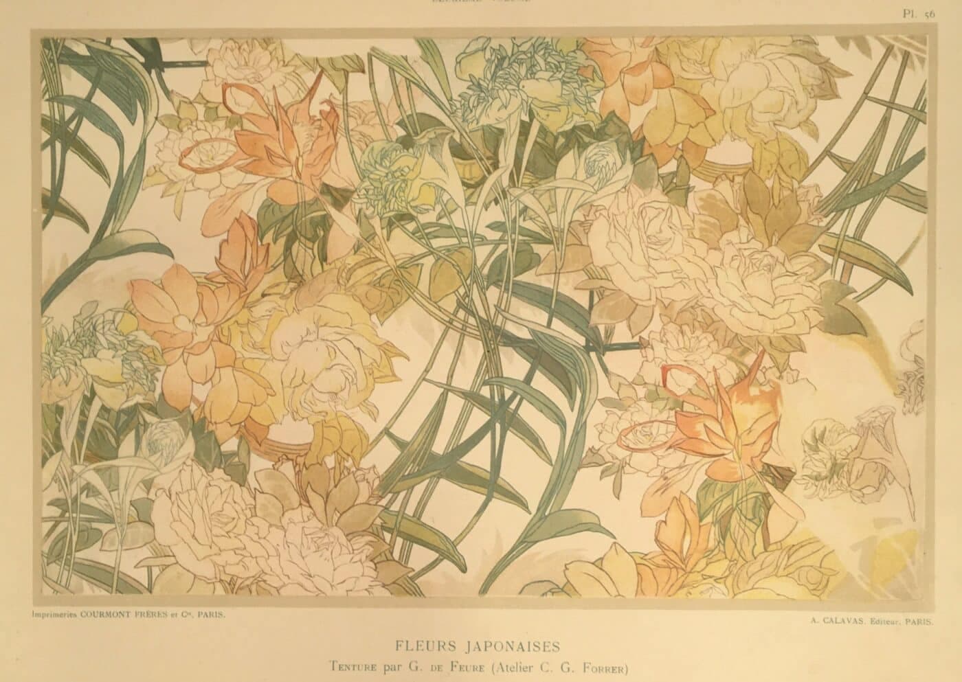 Fleurs japonaises