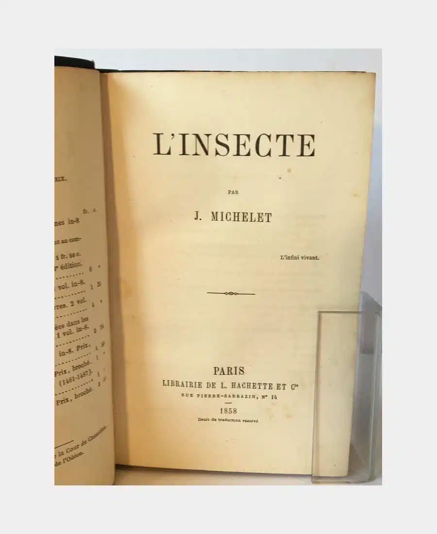 L'insecte – Image 2