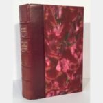 Five months in French history or the end of Napoleon's political life