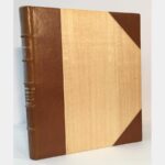 Religious architecture in Alsace during the Romanesque period, in the context of the Rhine basin.