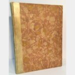 Vues pittoresques de l'Alsace.