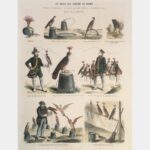 Falcon hunting in France