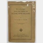 Streifzüge durch das Gebiet des Schachproblems.