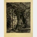 Le Châtaignier creux