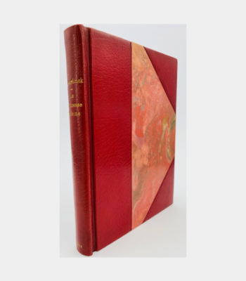 La Princess Maleine par Maurice Maeterlinck - Photo principale