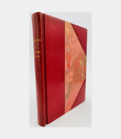 La Princess Maleine par Maurice Maeterlinck - Photo principale