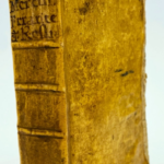 Il Mercurio Errante par Pietro ROSSINI - Photo principale