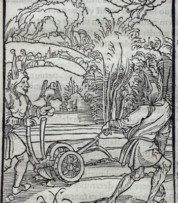 Non perservare in bono - La Nef des Fous par Sébastien Brant - Photo principale