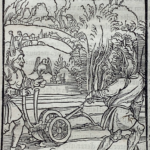 Non perservare in bono - La Nef des Fous par Sébastien Brant - Photo principale