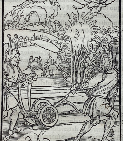 Non perservare in bono - La Nef des Fous par Sébastien Brant - Photo principale