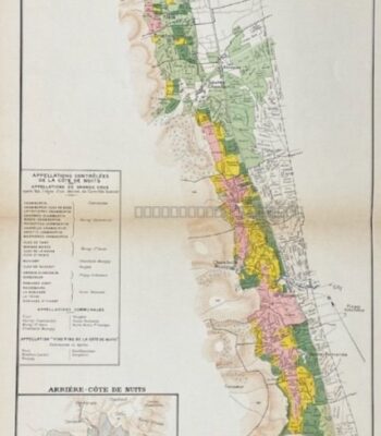 La côte de Nuits - Les Vins de Bourgogne par Louis Larmat - Photo principale