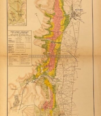 La côte de Beaune - Les Vins de Bourgogne par Louis Larmat - Photo principale