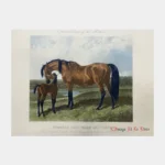 Thorough Bred Mare and Foal par Herring John Frederick - Photo principale